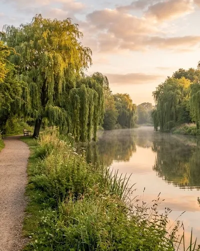 Riverside walking path at sunrise